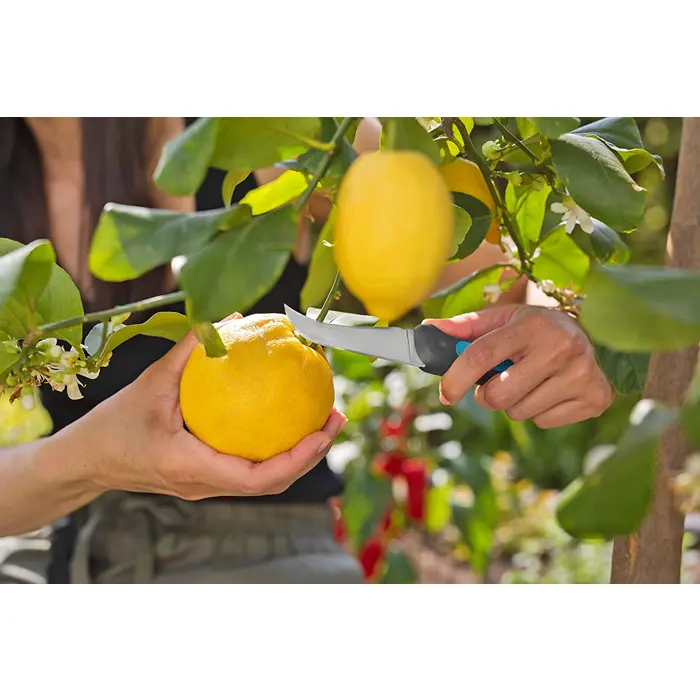 gardena-harvesting-knife-veggiecut-greyturquoise-incl-belt-h-81215-12211-20-w.webp