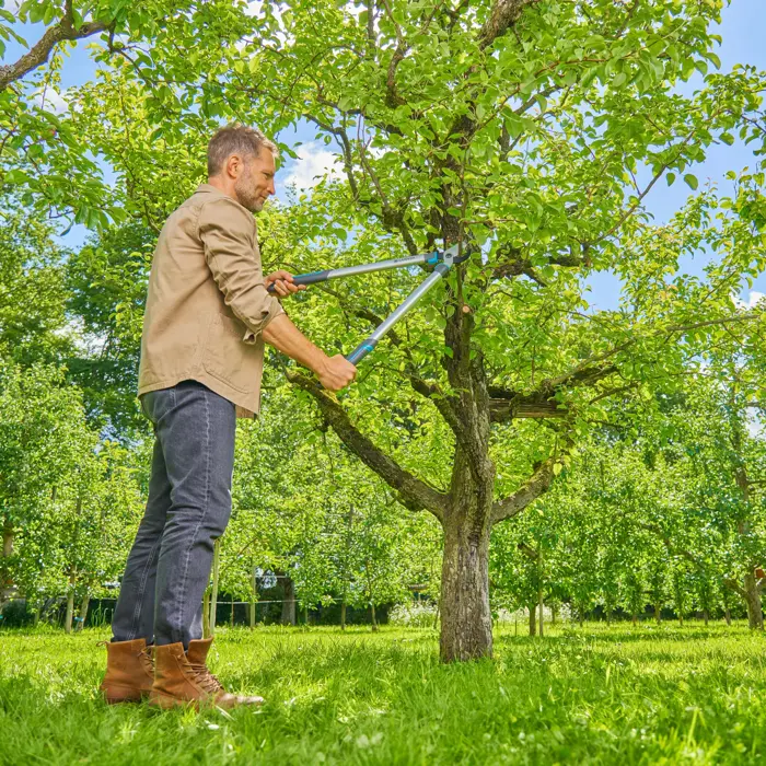 gardena-pruning-shears-easycut-l-greyturquoise-50cm-35619-12031-88-w.webp