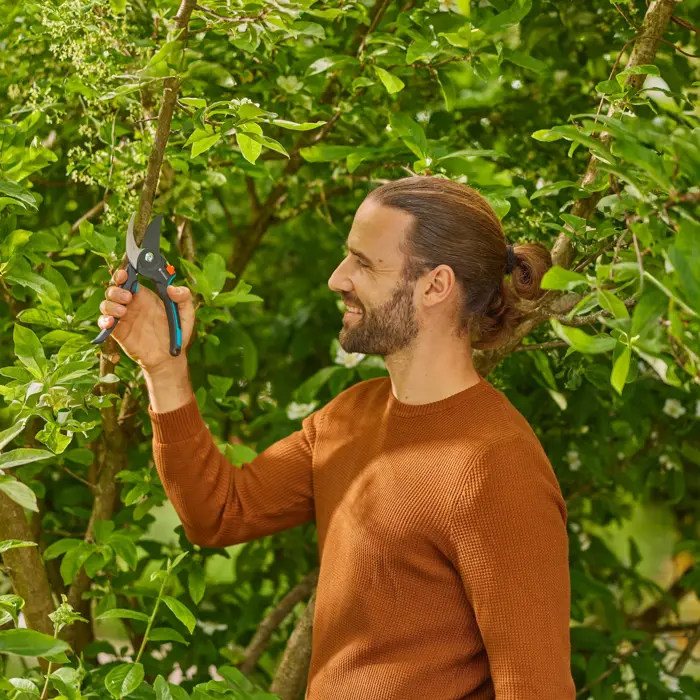 gardena-pruning-shears-premiumcut-pro-fresh-wood-greyturquoi-84827-12251-20-w.webp
