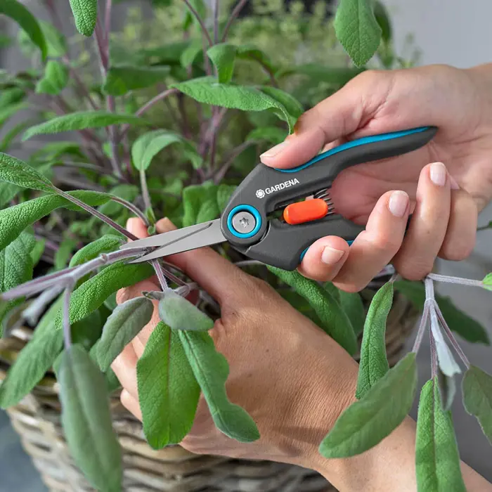 gardena-secateurs-freshcut-greyturquoise-herb-and-flower-sci-5260-12212-20-w.webp
