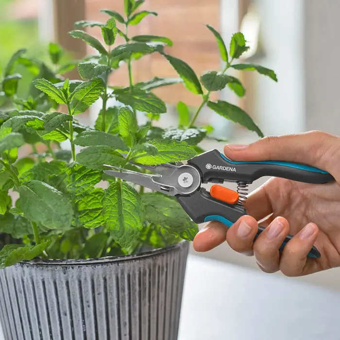 gardena-secateurs-gripcut-greyturquoise-herb-scissors-with-i-58044-12213-20-w.webp