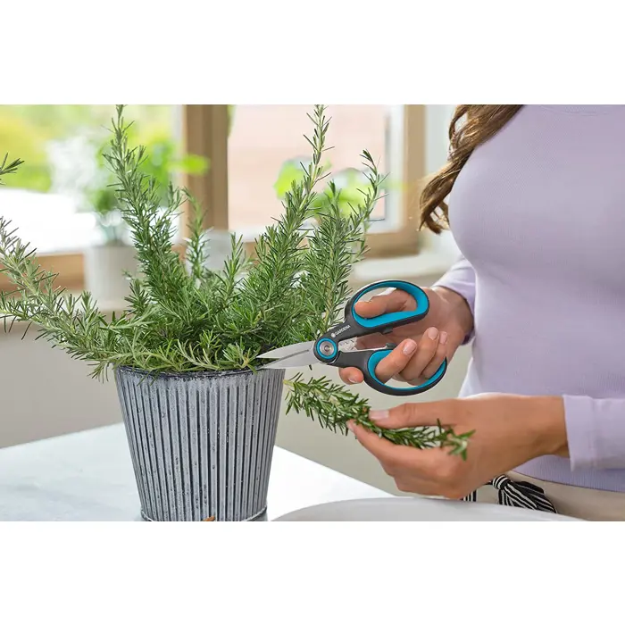 gardena-secateurs-herbcut-set-with-holster-greyturquoise-her-47971-12214-36-w.webp