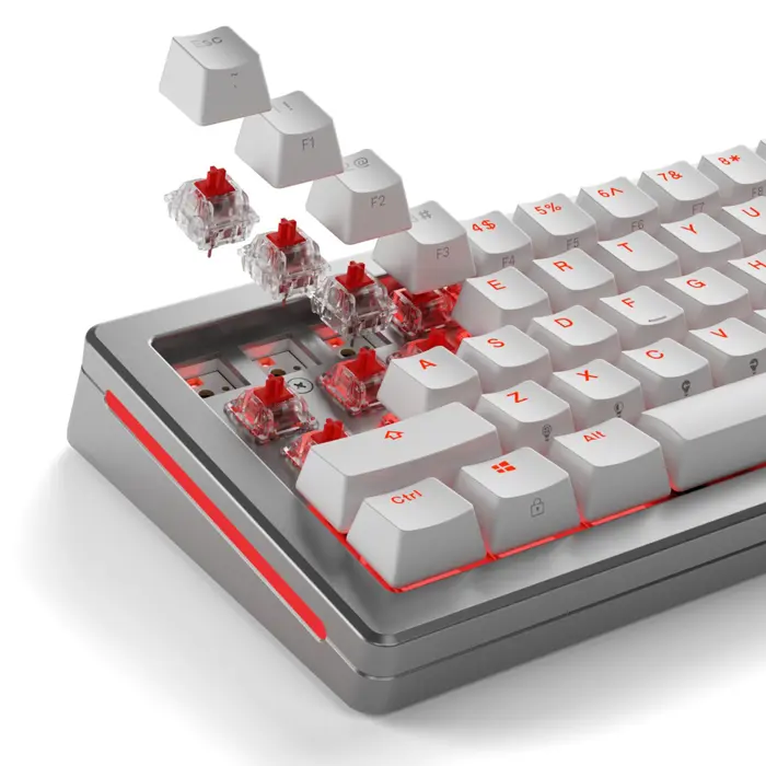 glorious-fox-switches-lubed-110-pieces-56964-wlononwcrecyo.webp