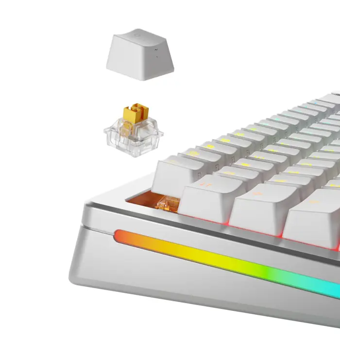glorious-panda-he-standard-switches-hall-effect-tactile-mx-s-43710-wlononwcrfib3.webp