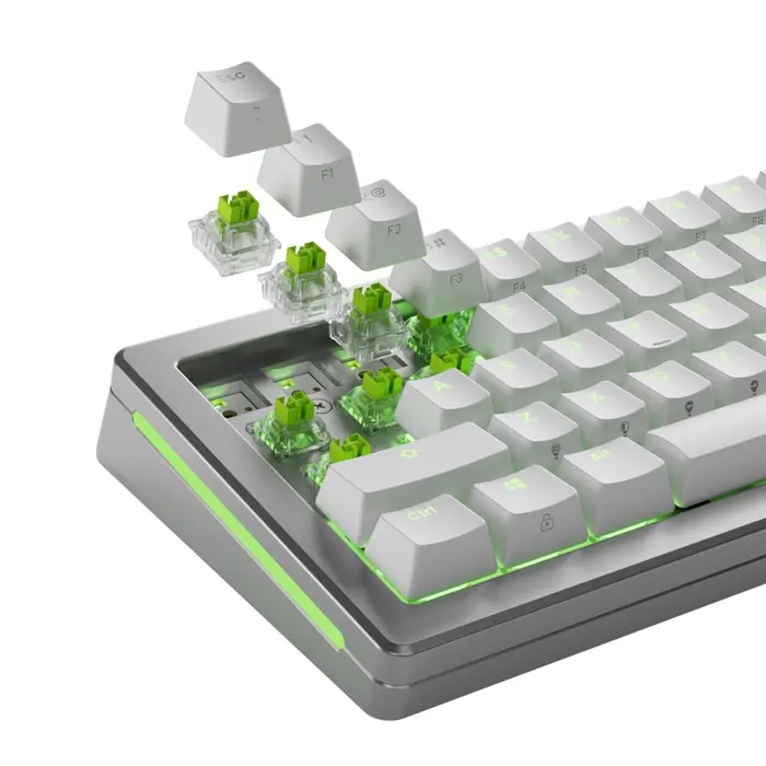 glorious-raptor-he-standard-switch-hall-effect-clicky-mx-ste-17185-wlononwcrficy.webp