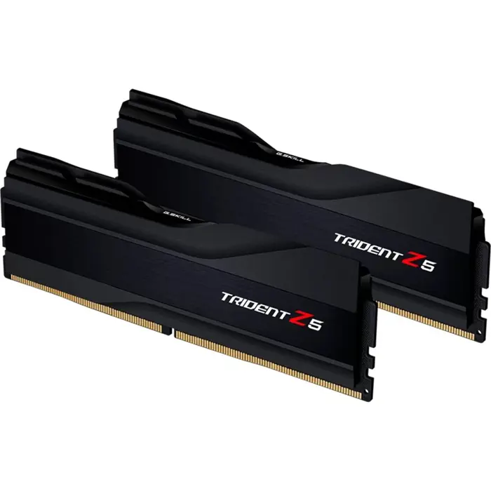 gskill-ddr5-48gb-8000-cl-38-2x-24-gb-dual-kit-black-f5-8000j-65445-f5-8000j3848f24gx2-tz5k-w.webp