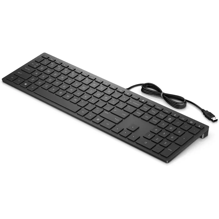 hp-pavilion-wired-keyboard-300-15570-perhp-kla0065.webp