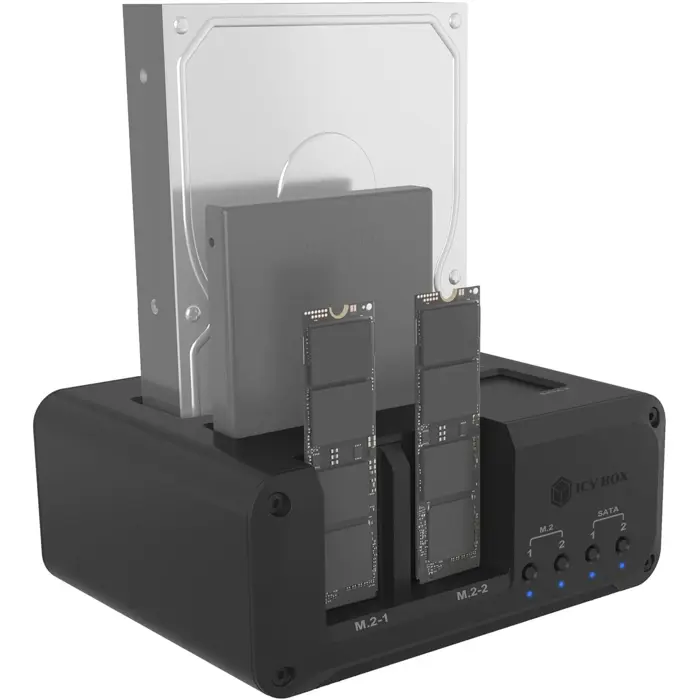 Icy Box IB-2925MS-CU31 (black)