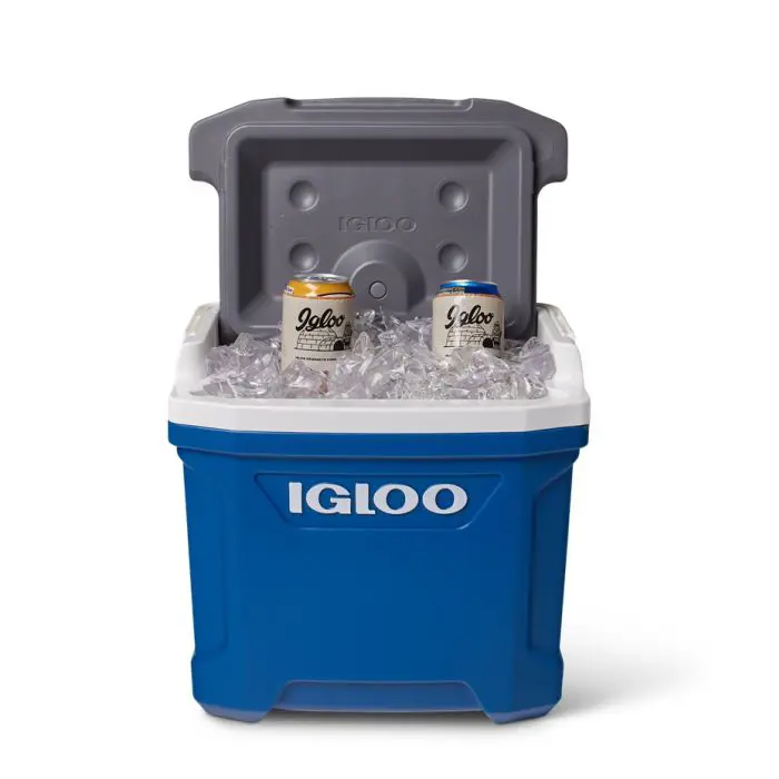 igloo-cooler-bag-blue-white-15l-73341-e0006561.webp