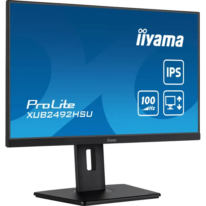 iiyama-605cm-238-xub2492hsu-b6-169-hdmidp4xusb-ips-77946-wlononwcrfixc.webp