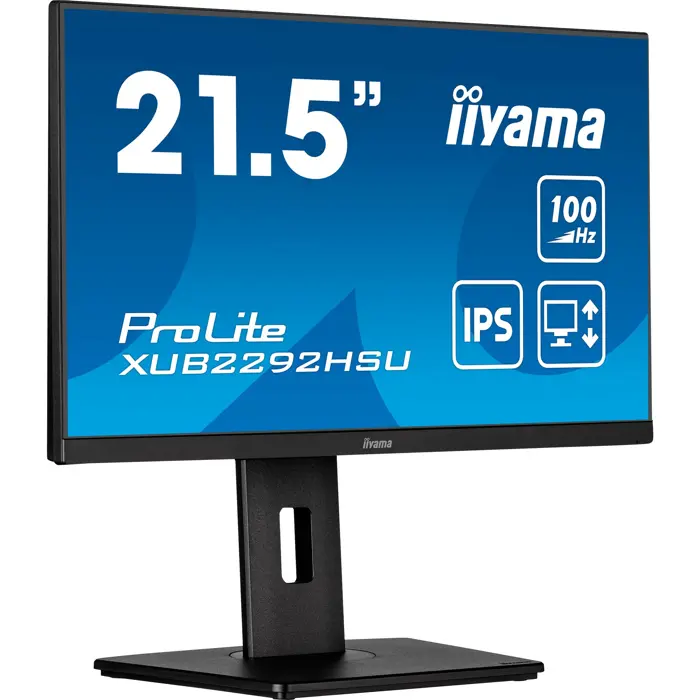 iiyama ProLite XUB2292HSU-B6, LED monitor - 22 - black (matt), FullHD, IPS, AMD Free-Sync, 100Hz panel