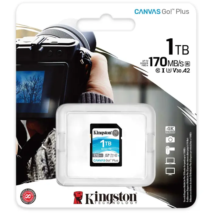 kingston-canvas-go-plus-1-tb-sdxc-memory-card-black-uhs-i-u3-14901-sdg31tb-w.webp