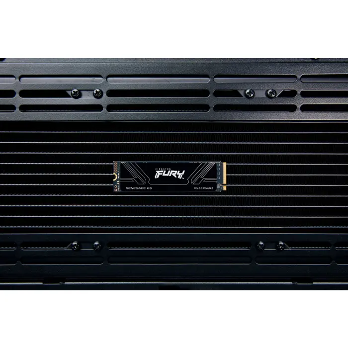 kingston-technology-4t-fury-renegade-g5-m2-2280-nvme-ssd-59103-diakinssd0136.webp