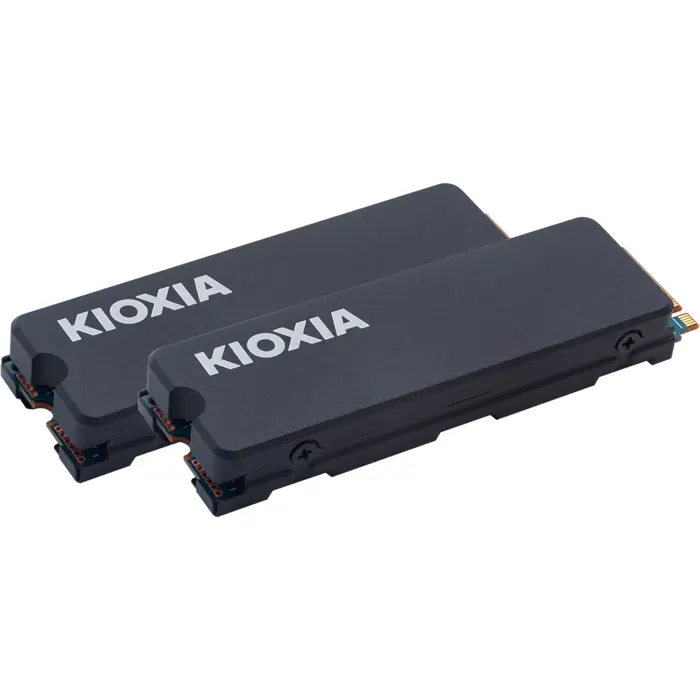 Kioxia Exceria with Heatsink 2 TB, SSD (PCIe 4.0 x4, M.2 2280)