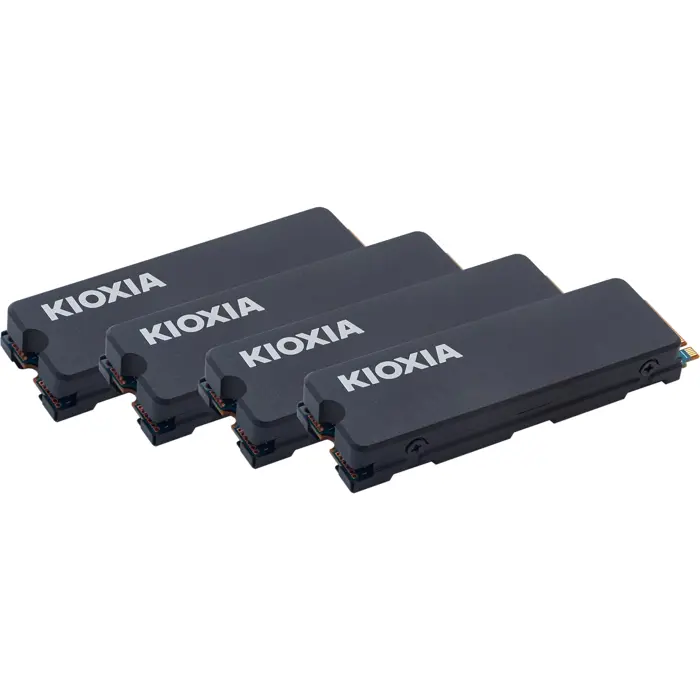 Kioxia Exceria with Heatsink 4 TB, SSD (PCIe 4.0 x4, M.2 2280)