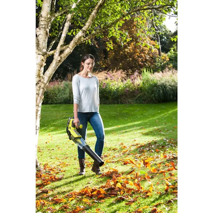 leaf-blower-ryobi-obl18jb-22960-wlononwcrgn09.webp