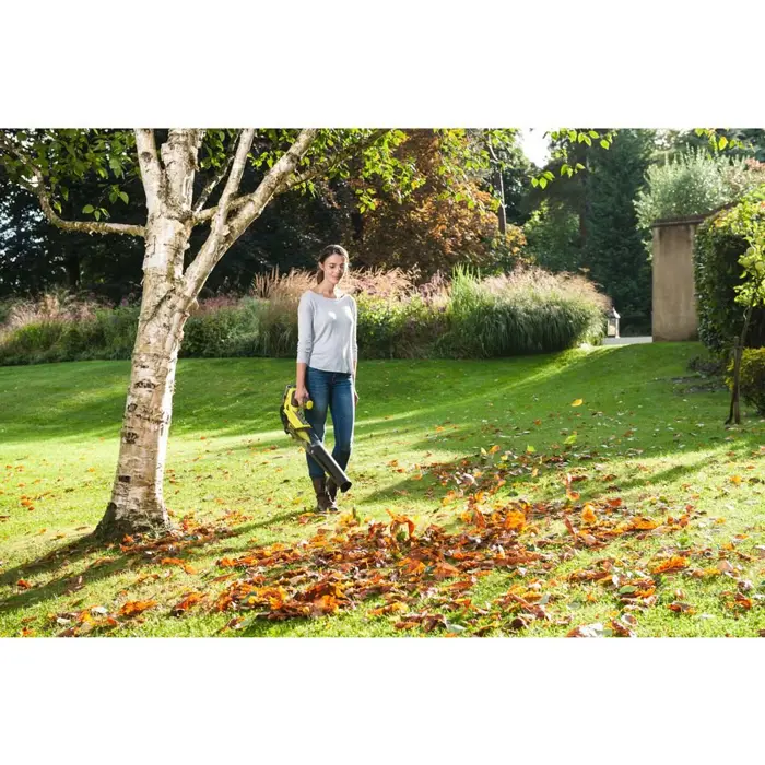 leaf-blower-ryobi-obl18jb-23723-wlononwcrgn09.webp