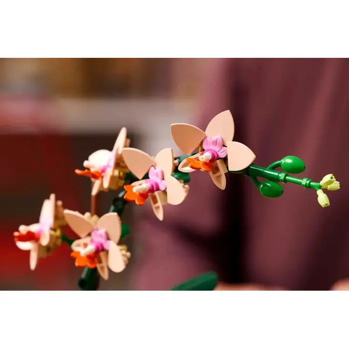 lego-botanicals-10343-mala-orchidea-62573-klolegleg1564.webp