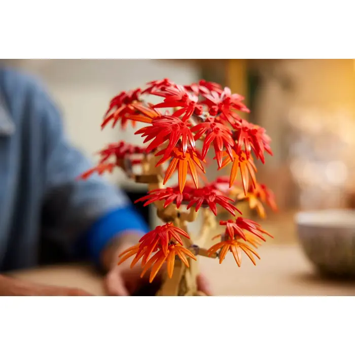 lego-botanicals-10348-japanese-red-maple-bonsai-tree-35697-klolegleg1781.webp