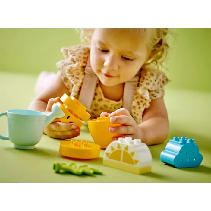 lego-duplo-10981-growing-carrot-72887-klolegleg0678.webp