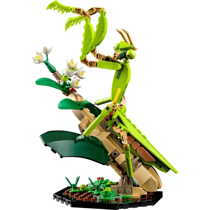 lego-ideas-21342-the-insect-collection-15008-klolegleg1402.webp