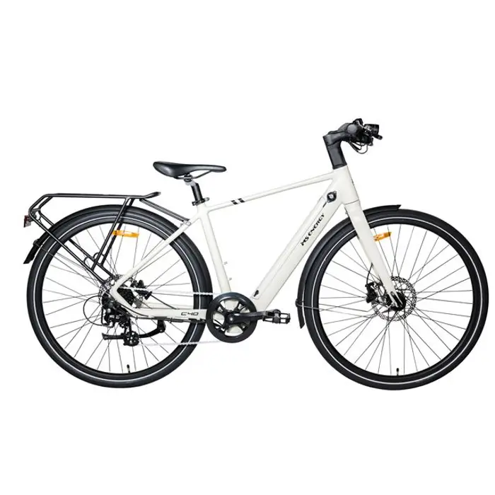 MS ENERGY eBike c40