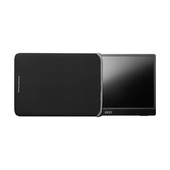 msi-pro-mp161de-e2-computer-monitor-396-cm-156-1920-x-1080-p-75503-wlononwcrpuhu.webp