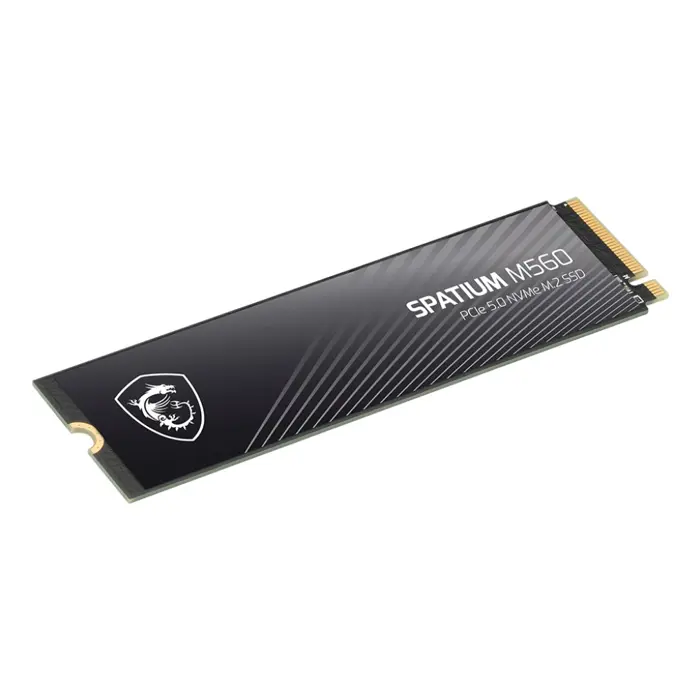 msi-spatium-m560-pcie-50-nvme-m2-2-tb-pci-express-50-3d-nand-99558-diamisssd0038.webp