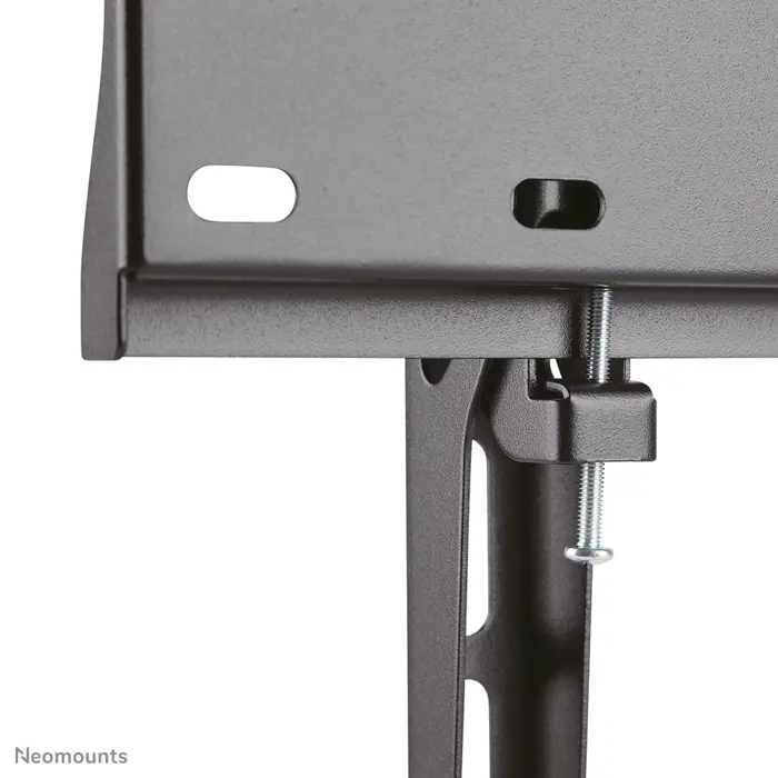 neomounts-by-newstar-tv-wall-mount-53292-wlononwcrdggr.webp