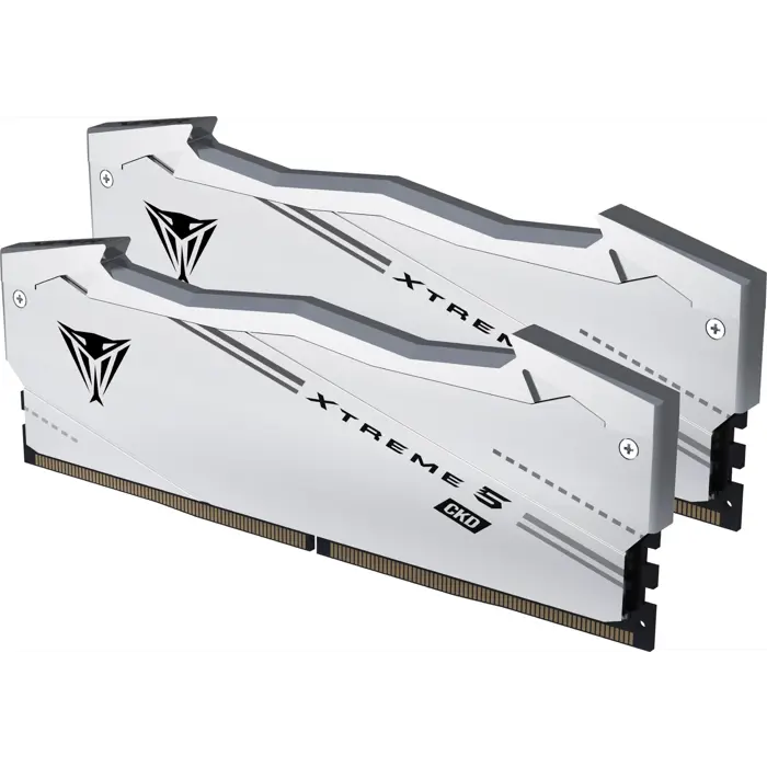 patriot-ddr5-48gb-9600-cl-46-2x-24-gb-dual-kit-ram-silver-vx-38854-vx548g9646ck-w.webp