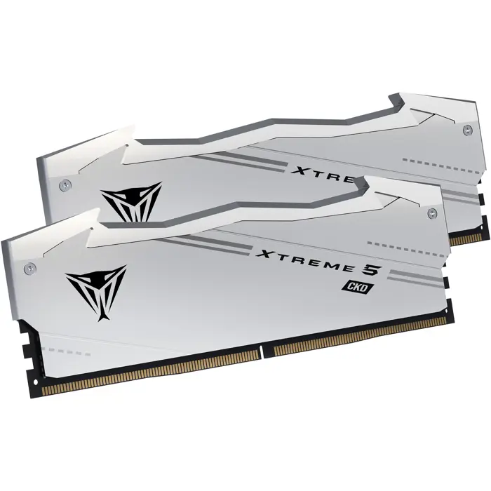 patriot-ddr5-48gb-9600-cl-46-2x-24-gb-dual-kit-ram-silver-vx-85846-vx548g9646ck-w.webp