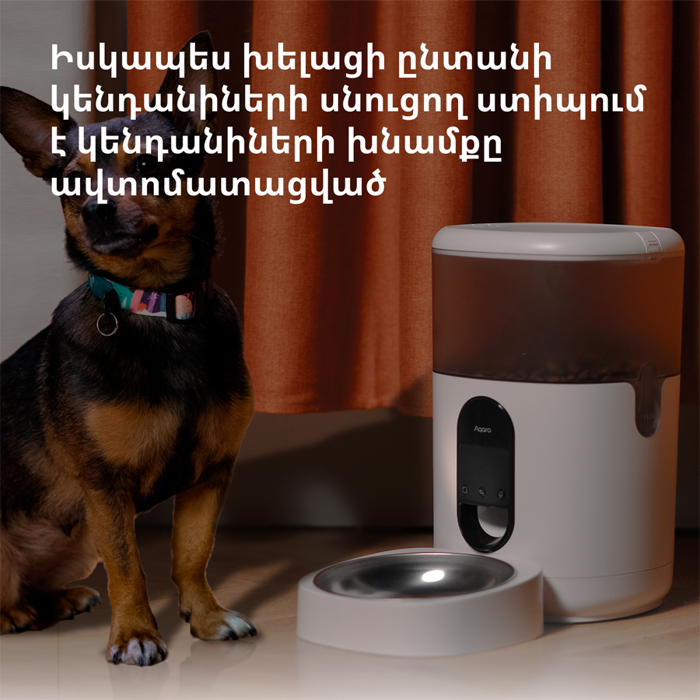pet-feeder-c1-model-no-petc1-m01-sku-am036glw01-72177-petc1-m01.webp