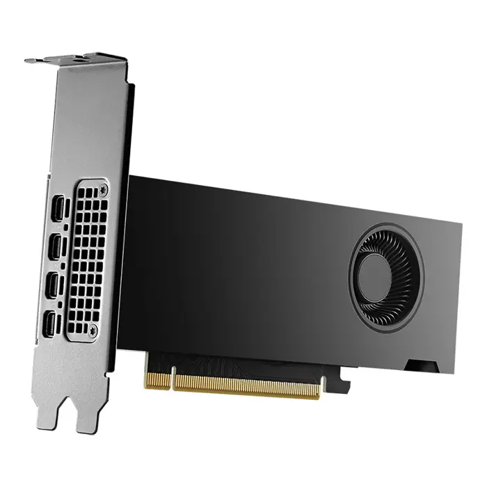pny-nvidia-rtx-2000-ada-generation-16-gb-gddr6-90268-wlononwcrckuz.webp