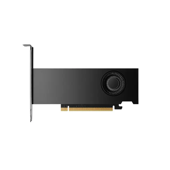 pny-rtx2000-ada-nvidia-rtx-2000-ada-16-gb-gddr6-6164-wlononwcrdemm.webp