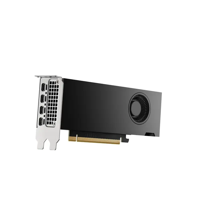 pny-rtx2000-ada-nvidia-rtx-2000-ada-16-gb-gddr6-96389-wlononwcrdemm.webp