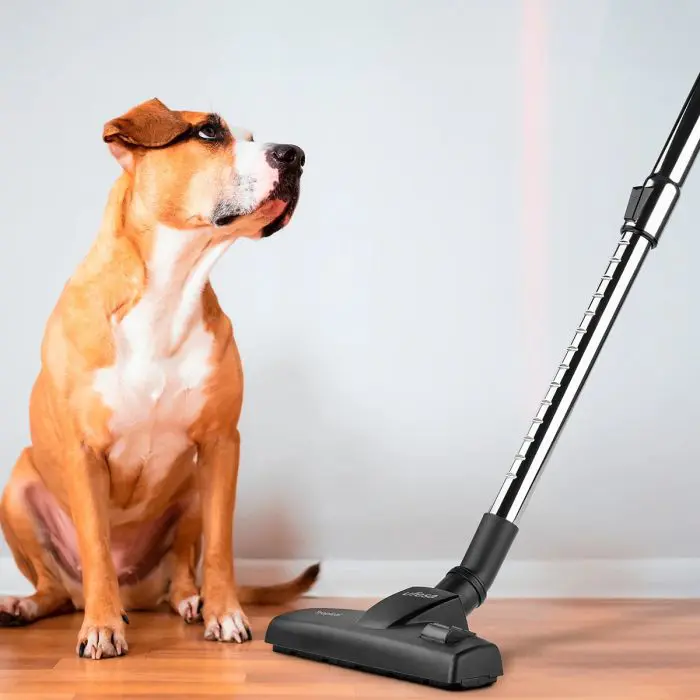 ufesa-wire-upright-vacuum-cleaner-tropical-600w-59025-e0017530.webp