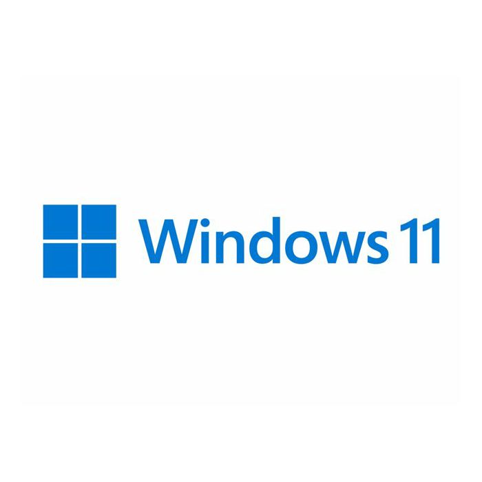 MS 1x Win 11 Pro 64Bit DVD OEM (EN)