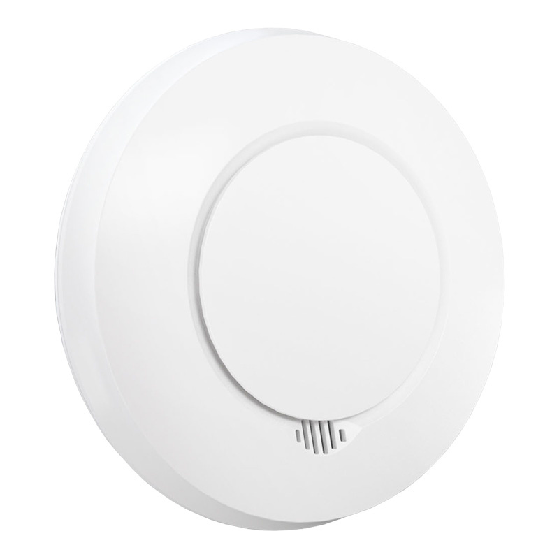 55461_1-6942349211638.jpg