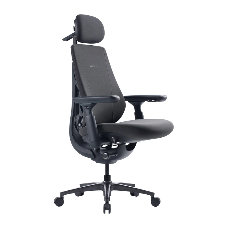 Dynamic Ergonomic Chair LiberNovo Maxis