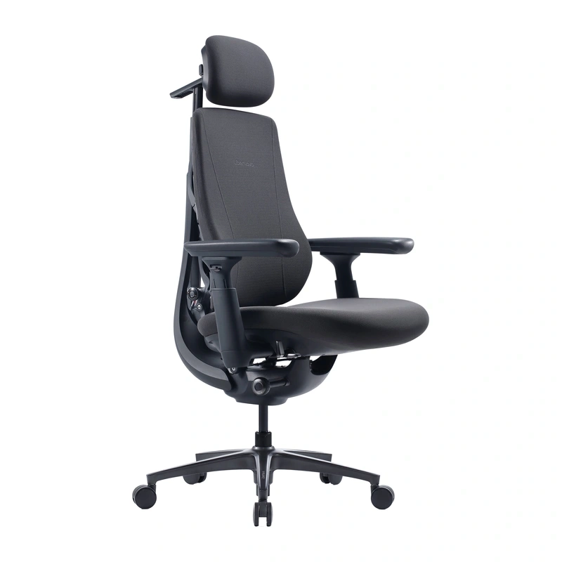Dynamic Ergonomic Chair LiberNovo Maxis (Graphite)