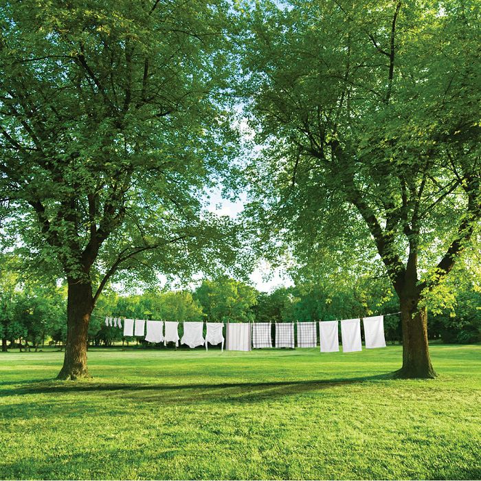 Brabantia laundry hanging set (length 12m)