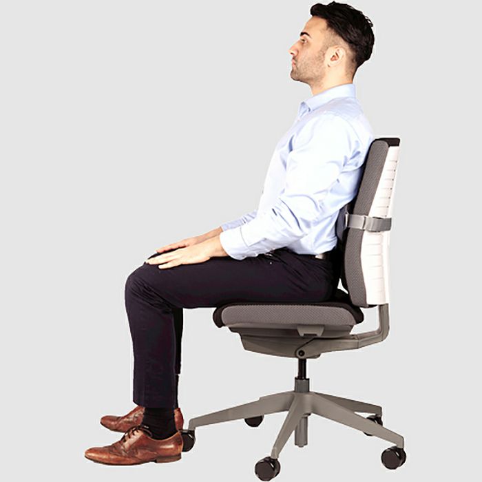 Fellowes I-Spire Series Lumbar Back Support