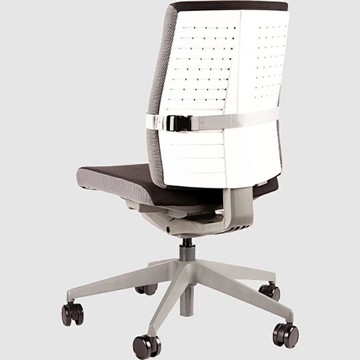 Fellowes I-Spire Series Lumbar Back Support