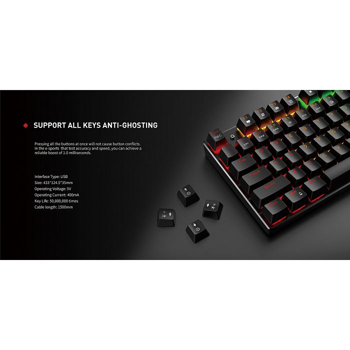 HAVIT Gamenote USB Mechanical Keyboard HV-KB498L - SLO characters