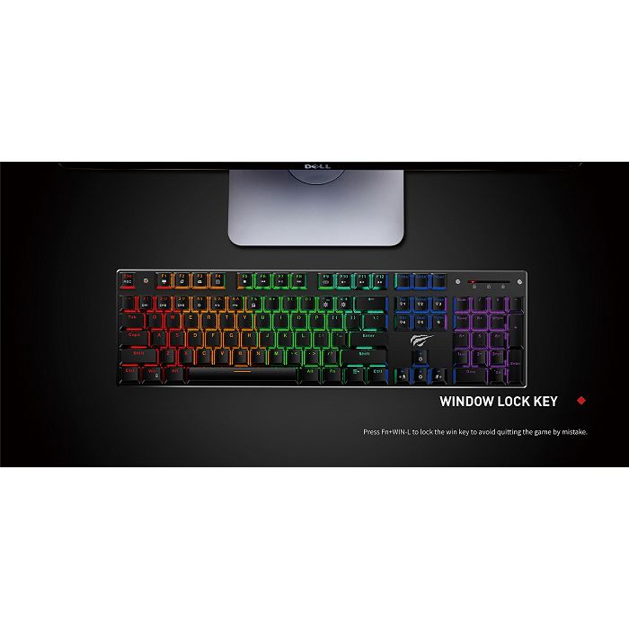 HAVIT Gamenote USB Mechanical Keyboard HV-KB498L - SLO characters