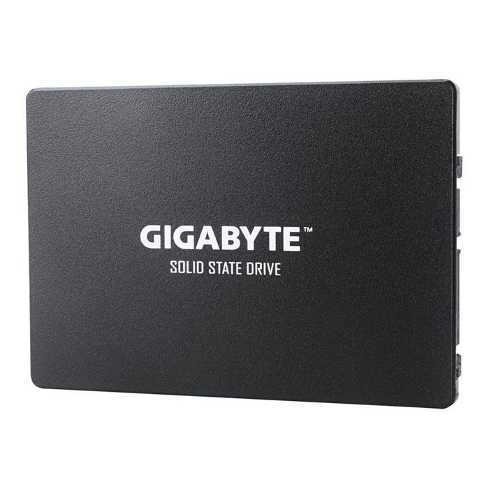 Gigabyte - solid state drive - 256 GB - SATA 6Gb/s
 - GP-GSTFS31256GTND