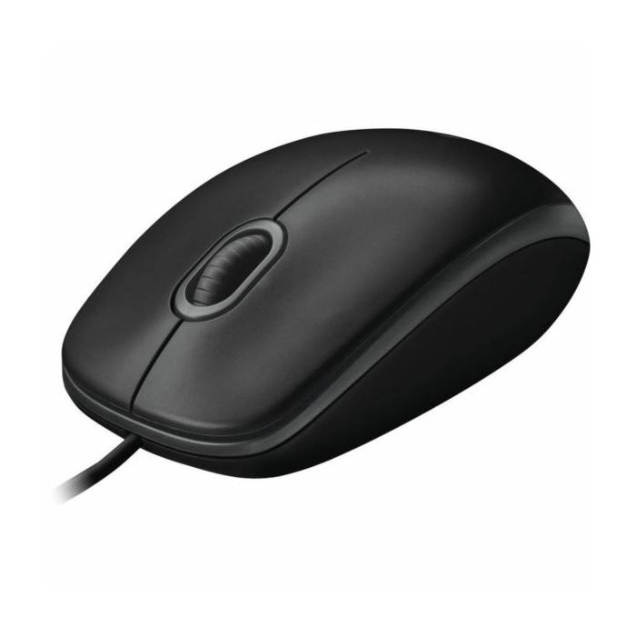 Logitech B100 mouse black, USB