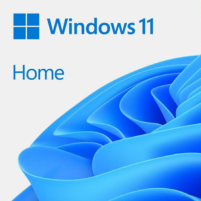Microsoft Windows Home 11 DSP / OEM English, DVD
