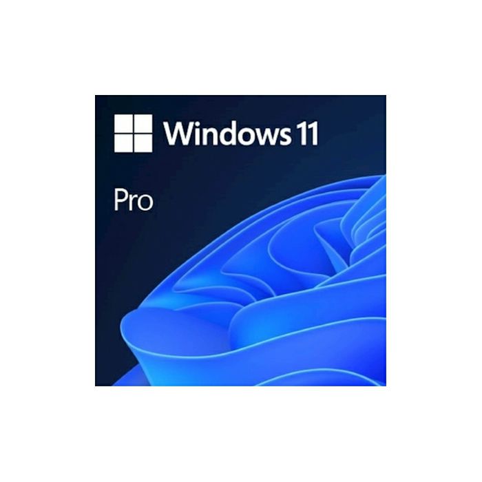 Microsoft Windows Pro 11 FPP Slovenian, USB