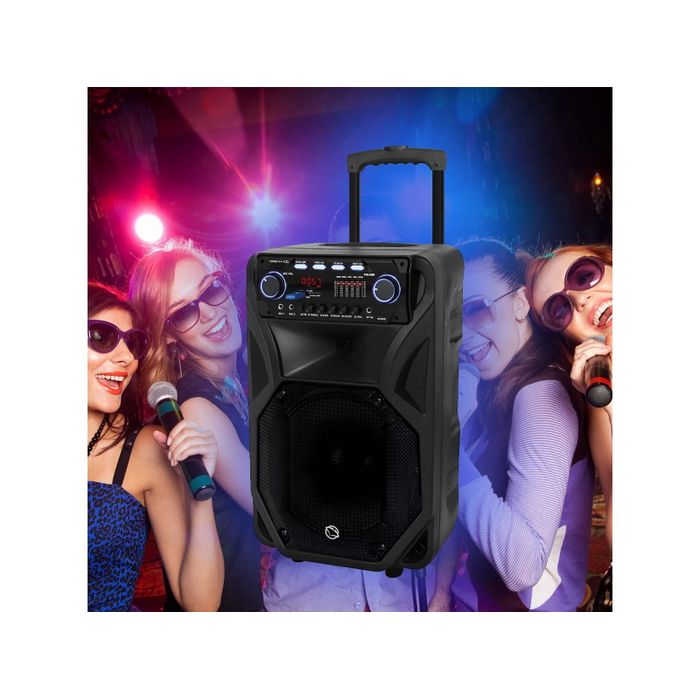 MANTA karaoke, 80W, FM, BT, USB, SD, bež mikr, gitara, baterij, crni SPK5021PRO